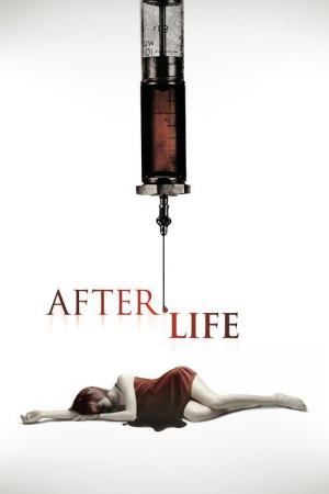 Życie po życiu (2009)