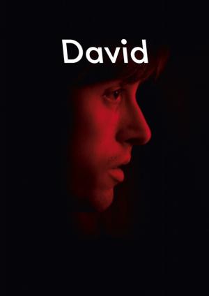 Dawid (2015)