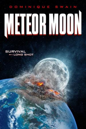 Księżycowy meteoryt (2020)