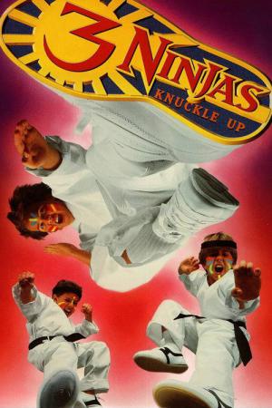 Małolaty Ninja na wojennej ścieżce (1995)