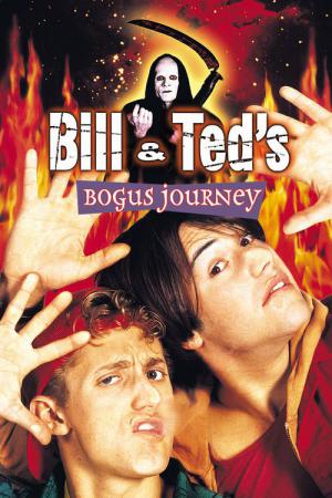Szalona wyprawa Billa i Teda (1991)