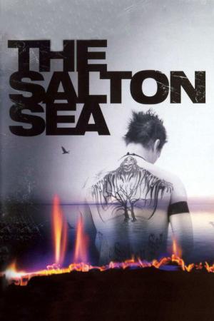 Jezioro Salton (2002)