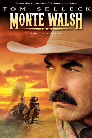 Samotny kowboj (2003)