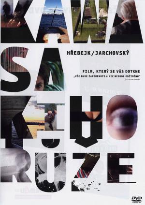 Czeski błąd (2009)