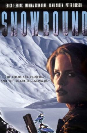 Śnieżna pułapka (2001)