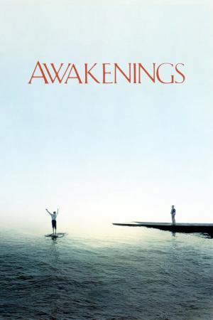 Przebudzenie (1990)