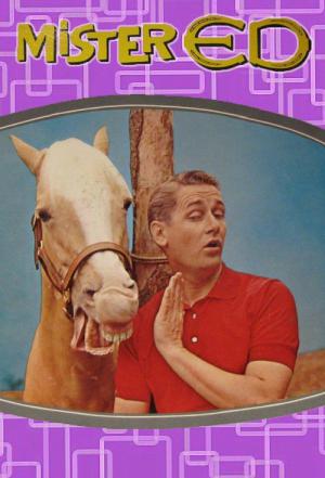 Ed - koń, który mówi (1961)