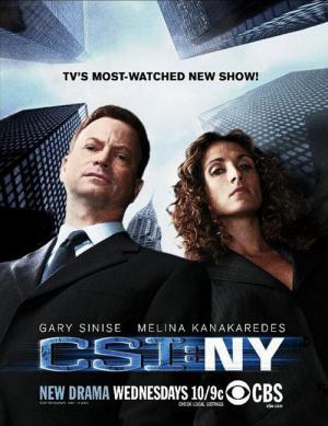 CSI: Kryminalne zagadki Nowego Jorku (2004)
