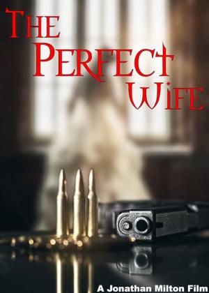 The Perfect Wife (2017)