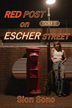 Czerwona skrzynka na ulicy Eschera (2020)