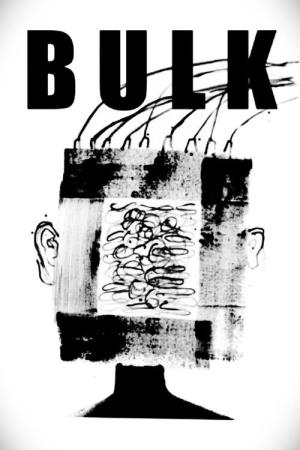 Bulk (2025)