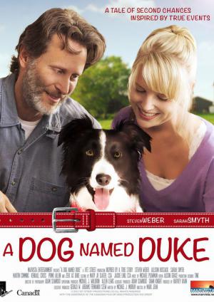 Pies imieniem Duke (2012)