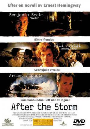 Po burzy (2001)