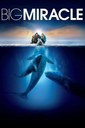 Na ratunek wielorybom (2012)