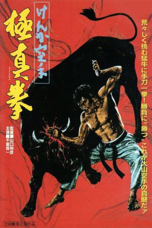 Karate Bullfighter (1975)