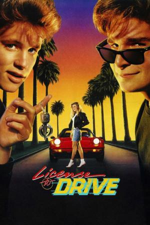 Prawo Jazdy (1988)