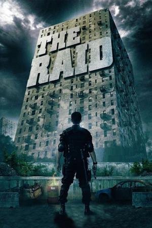 Raid (2011)