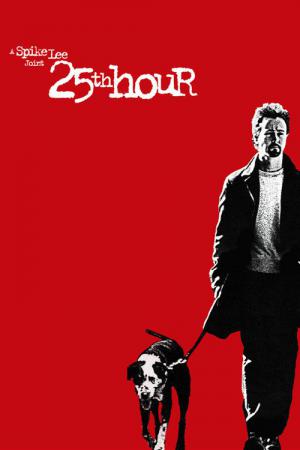 25 godzina (2002)