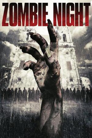 Noc zombie (2013)