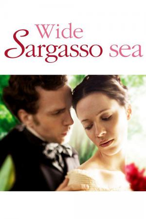 Bezkresne morze Sargassowe (2006)