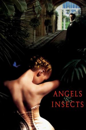 Anioly i owady (1995)