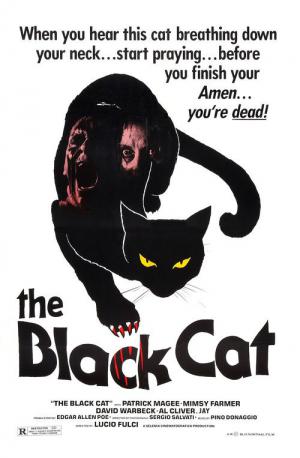 Czarny kot (1981)