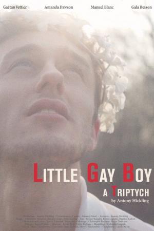 Little Gay Boy - Tryptyk (2013)