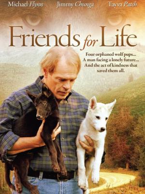 Niezwykli przyjaciele (2008)