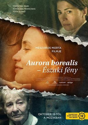 Zorza polarna (2017)