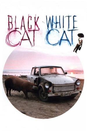 Czarny kot, biały kot (1998)