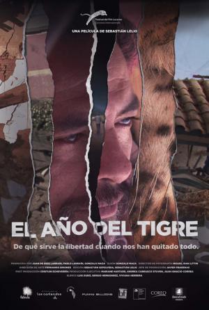 Rok tygrysa (2011)