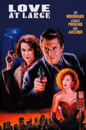 Milosc detektywa (1990)