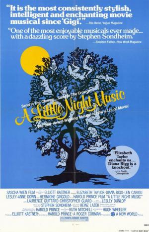 Mala nocna muzyka (1977)