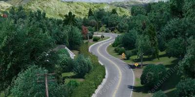 Mulholland Drive filmy