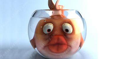 gadająca ryba filmy