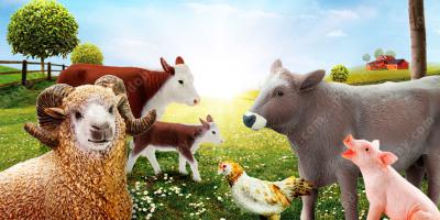 zwierzę gospodarskie filmy