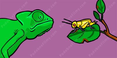 selekcja naturalna filmy