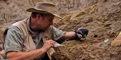 paleontolog filmy