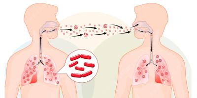 przewieziony drogą lotniczą filmy