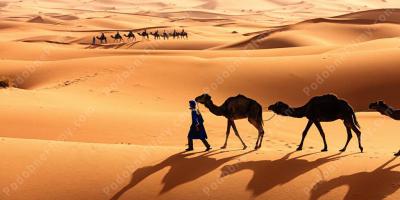 pustynia Sahara filmy