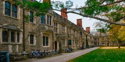 liga bluszczowa filmy