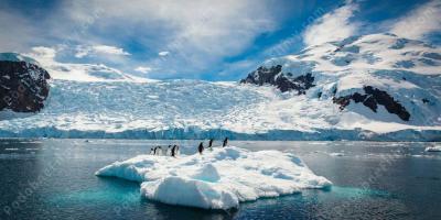 Antarktyda filmy