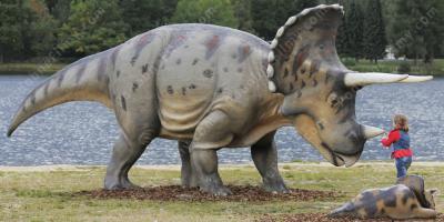 triceratops filmy