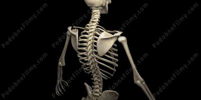 szkielet człowieka filmy